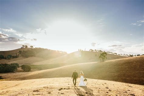 Weddings Brave Goose Vineyard