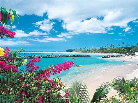 images  beautiful tobago beaches  pinterest trinidad