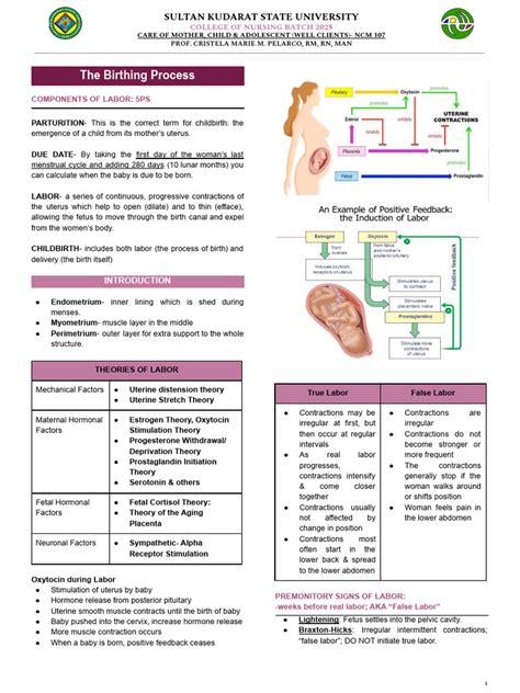 Intrapartum Care | PDF | Childbirth | Pelvis