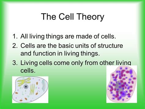 Parts Of A Cell Ppt Video Online Download Cell Theory Cell Parts