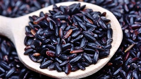 Riz noir valeurs nutritionnelles comment cuisiner où acheter