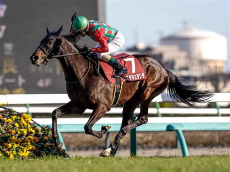 【弥生賞結果】6番人気コスモキュランダが捲りを決めて重賞初制覇！ 競馬ニュース