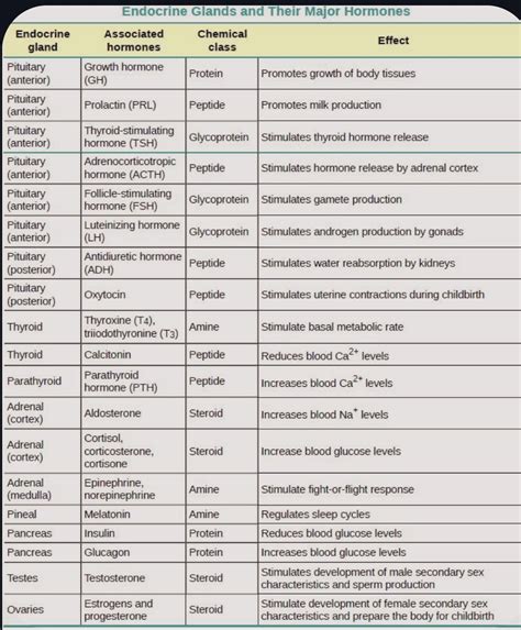 On Twitter Endocrine Glands And Their Hormones And