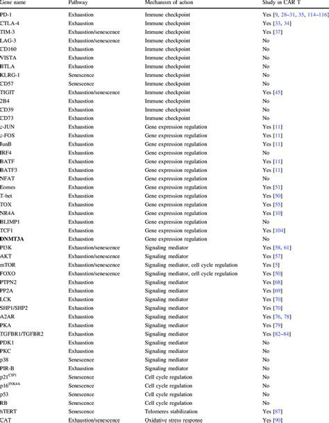 Genes involved in the regulation of exhaustion and senescence pathways ...