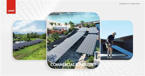 LONGi Solar on Twitter: "🌳#LONGi focuses on both industrial and ...