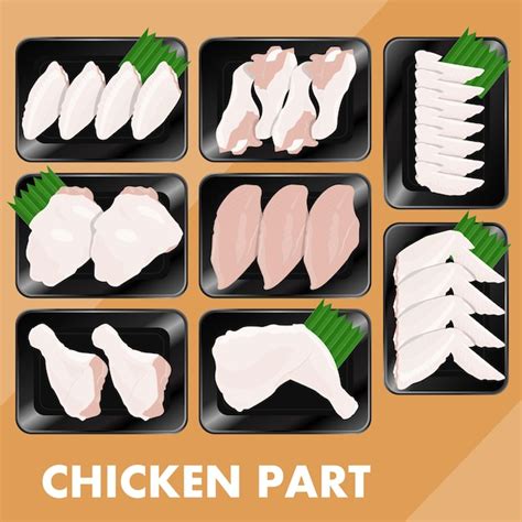 Premium Vector Chicken Part Set