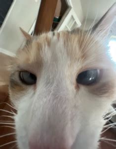 Pornhub Free Porn Videos Sex Movies Porno XXX Porntube Playlist By PeenMaster Spotify