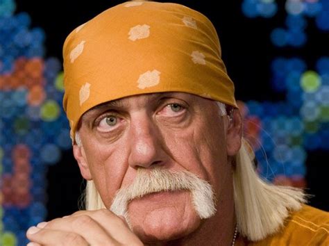 Hulk Hogan Awarded 115 Million In Gawker Sex Tape Case The Blade