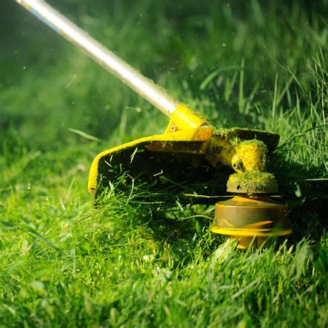 31 Tips for Achieving a Lush Lawn This Season — The Family Handyman