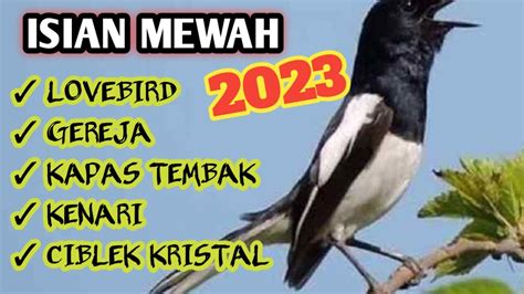 Masteran Mewah Terbaru Lovebird Kapas Tembak Kenari Gereja