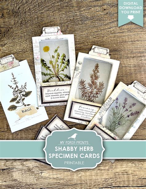 Junk Journal Herb Specimen Cards Shabby Tab Botanical Etsy