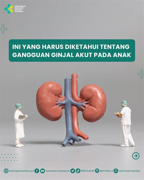 Kementerian Kesehatan RI On Twitter Penyakit Gagal Ginjal Akut Yang