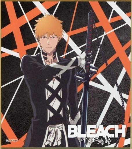 駿河屋 黒崎一護 「bleach ブリーチ 千年血戦編×カラオケの鉄人 トレーディングミニ色紙」（紙製品その他）