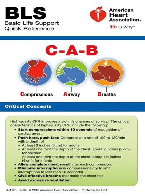 Aha Bls Pocket Reference Card Mike Sheldon