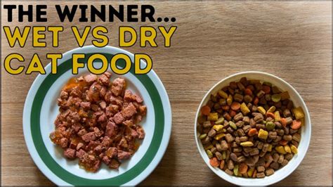 Wet vs Dry Cat Food: The Winner Is…