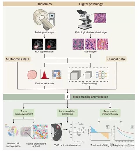 肿瘤免疫的技术更迭：从免疫组学到单细胞分析和人工智能 知乎