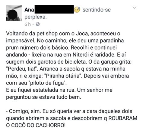 A Hist Ria Inusitada Da Mo A Que Foi Assaltada Por Dois Garotos De