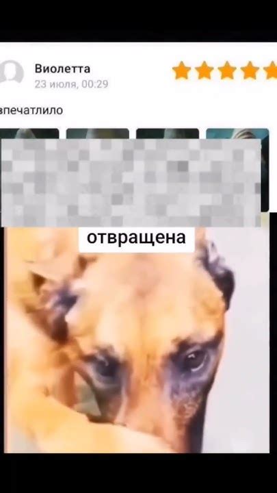 РАЗРЕЗАЛА НОГУ И ВЫЛОЖИЛА ОТЗЫВ НА ВБ #виолетта #shorts #лезвия #отзыв ...