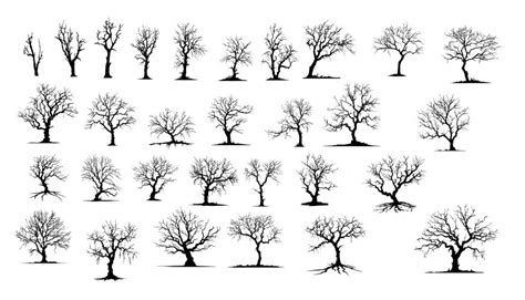 Naked Vector Images Over 16 000