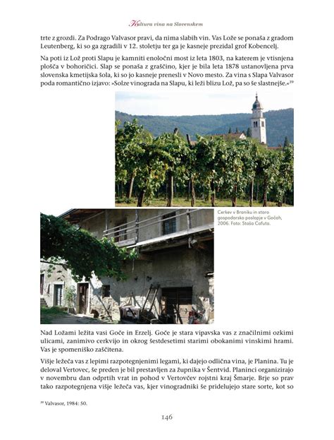 Kultura Vina Na Slovenskem By S Kolibri Issuu