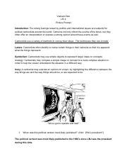 Vietnam War Political Cartoon Pdf Vietnam War Us Ii Picture Prompt