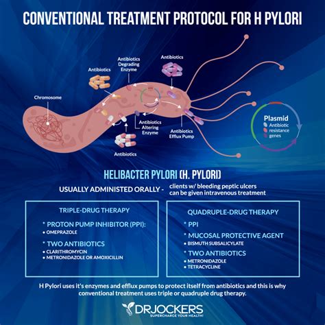 H Pylori Protocol: Diet & Herbal Strategies - DrJockers.com