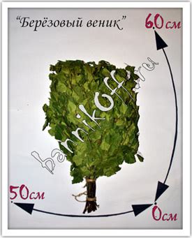 Березовые веники - цены от производителя.
