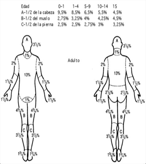 Quemaduras P Gina De Elportaldelasalud