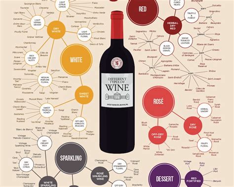 Things Everyone Should Know About Wine