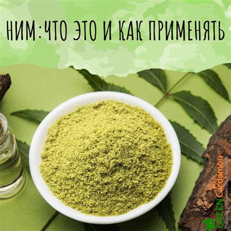 Дерево ним — что это за растение, статья на GreenCardamon