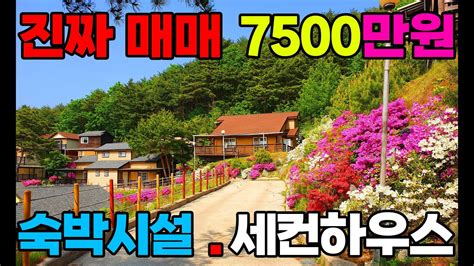 우리나라에도 이런곳이 횡성둔내 숙박시설 개인별장 진짜7500만원 Youtube