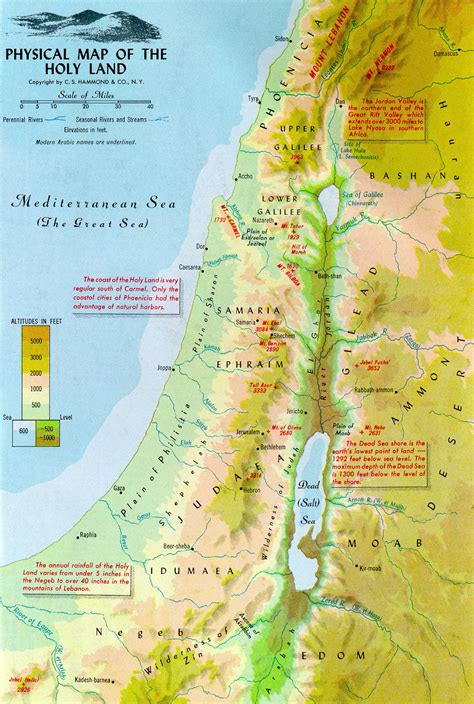 Promise Land Given To The Twelve Tribes Of Israel By Lot Physical Map