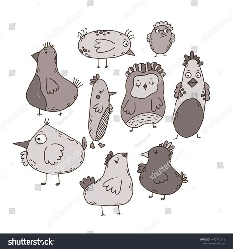 Collection Cute Hand Drawn Birds Vector Stock Vector Royalty Free