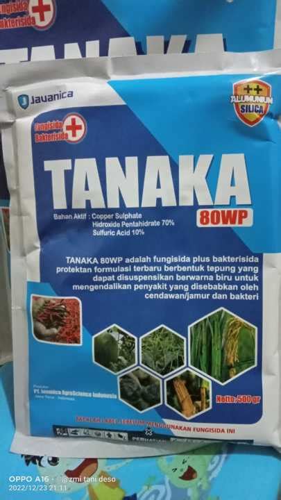 TANAKA 80 WP 500 Gr FUNGISIDA BAKTERISIDA Lazada Indonesia