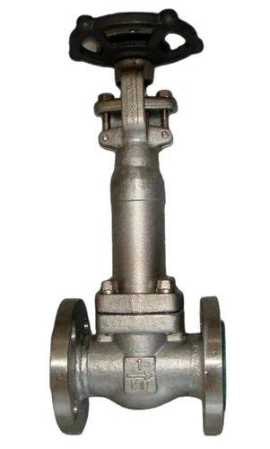 Stainless Steel Globe Valve Test Pressure Body 24 Mpa Size 15 Mm At Rs 6200 In Ahmedabad