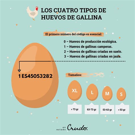 Los Cuatro Tipos De Huevos De Gallina Y C Mo Identificarlos