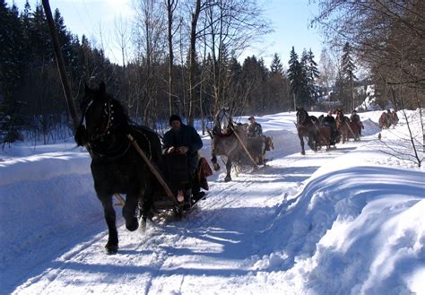 Kulig - Horse Sleigh Rides in Poland