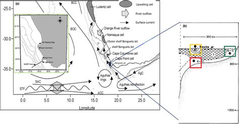 (a) Schematic map of the southern Benguela Current upwelling system ...