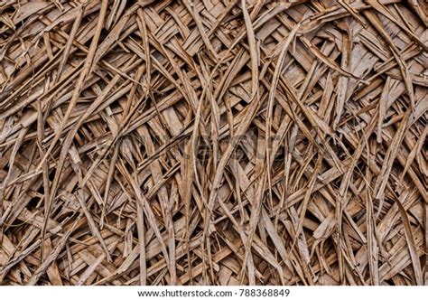 Coconut Thatch Roof: Over 998 Royalty-Free Licensable Stock Photos | Shutterstock