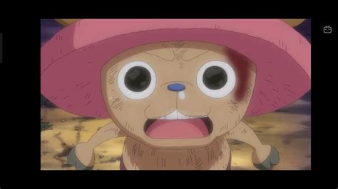 Chopper Crying Youtube