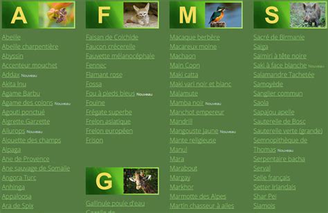 La Liste Alphabétique Des Animaux Dictionnaire Des Animaux Diconimoz