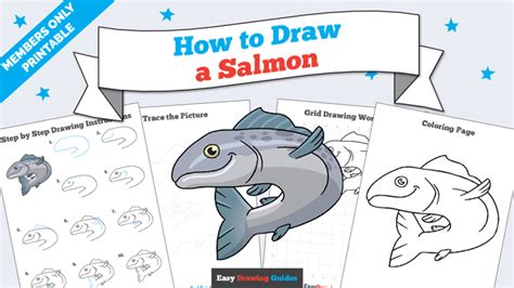 How To Draw A Salmon Really Easy Drawing Tutorial | Images and Photos ...