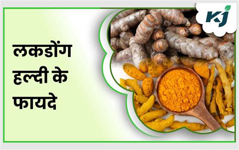 Lakadong Turmeric लकडोंग हल्दी औषधीय गुणों से भरपूर अनोखे तरीके से