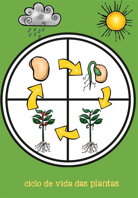 Ciclo De Vida Das Plantas Livrinho Com O Ciclo De Vida Das Plantas ~ Portal Escola