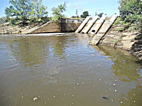 Рыба рубленая – загубленная - Экономика // Арсеньевские вести