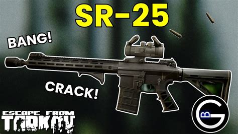 The Best SR 25 Builds M61 Madness YouTube