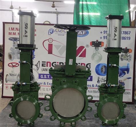 Casted Ci Cs Ss Mss Sp Motorized Knife Gate Valves At Rs In