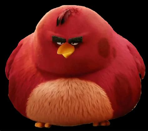 Angry Birds Terence By Barbourosaurus On Deviantart