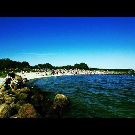 Horsens Fjord Beach | Fjord, Beach, Horsens