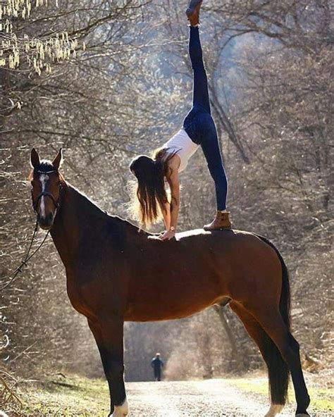 Pin Em Horses Cavalos Bonitos Cavalos Raros Cães Grandes